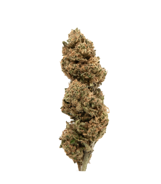 Fleurs Mango Kush N10